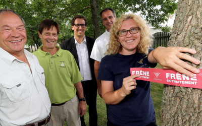 Varennes reçoit un don pour le traitement des frênes affectés par l’agrile