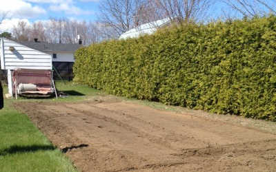 Semaine de la famille: un lot de terrain au jardin communautaire !