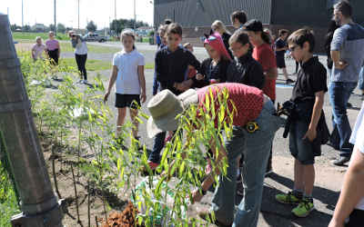 Le projet « Les cinq Gardiens » commence à prendre forme!