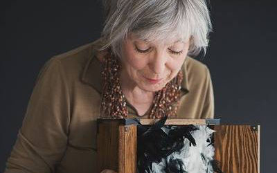 Maison de la culture de Saint-Roch-de-Richelieu: Esther, oie sauvage