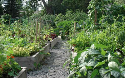 Un jardin communautaire ou collectif pourrait prendre racine sur le territoire de Contrecoeur