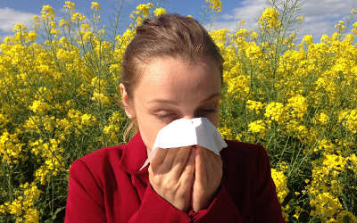 Chronique santé: y a-t-il un lien entre les allergies, l’asthme et l’eczéma?