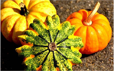 Chronique naturopathie: l’automne, ma saison préférée