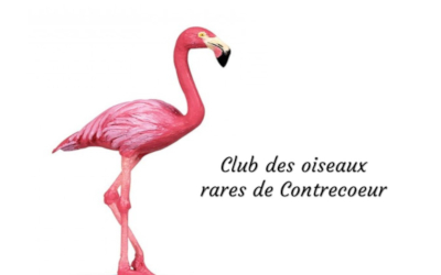 Contrecoeur: prochaine conférence du Club des oiseaux rares