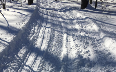 Contrecoeur: le sentier de ski de fond interdit aux motoneigistes