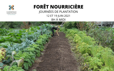 Une forêt nourricière collective au coeur de Saint-Roch-de-Richelieu !