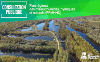 Protection des milieux humides, hydriques et naturels: la MRC de Marguerite-D’Youville consulte sa population
