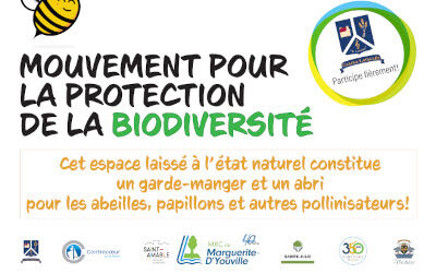 La MRC de Marguerite-D’Youville et ses municipalités donneront un coup de pouce aux insectes pollinisateurs!