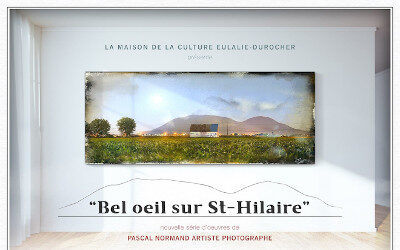 Maison de la culture Eulalie-Durocher: exposition à venir pour l’artiste visuel Pascal Normand