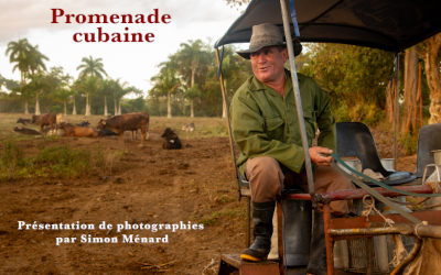 Galerie du Parc Royal: Clin d’Oeil, avec Simon Ménard, photographe contemplatif