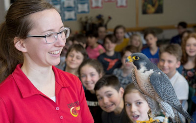 Des oiseaux de proie au Biophare