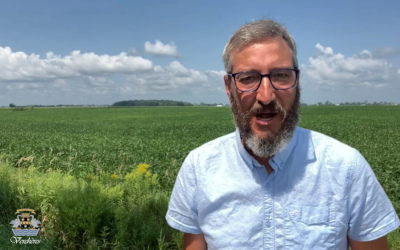 Verchères: l’assemblée municipale de juillet en bref