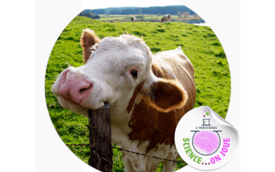 Une activité ludique et éducative pour les petits à Verchères: Les animaux poilus de la ferme