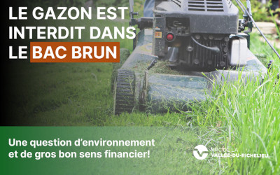 Une question d’environnement… et de gros bon sens financier: le gazon est interdit dans le bac brun