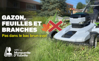 Gazon, feuilles et branches dans le bac brun: une erreur qui coûte cher 