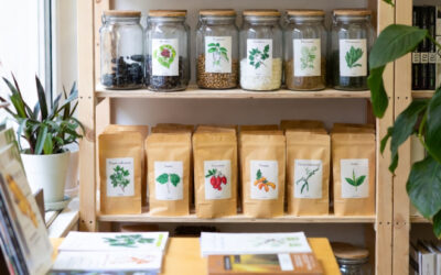 Ville de Contrecœur: connaissez-vous la grainothèque?