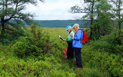 Les découvertes d’espèces faites au cours du Grand BioBlitz de CNC orientent des mesures de conservation à travers le pays