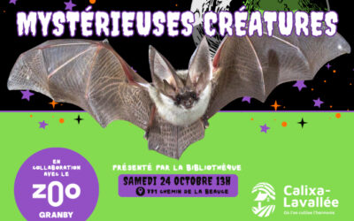 Calixa-Lavallée: frissons, créatures et friandises, l’Halloween s’invite à la bibliothèque!