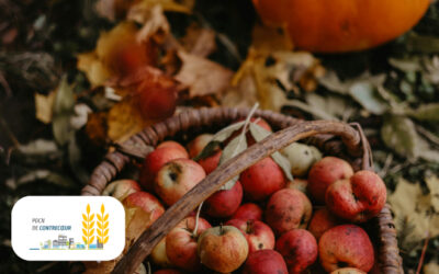 Contrecoeur: le PDCN souligne les initiatives alimentaires locales