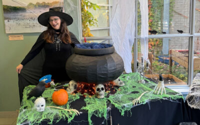 Le Biophare célèbre l’Halloween avec des activités familiales
